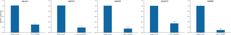 Figure 7
