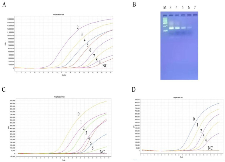 Figure 5