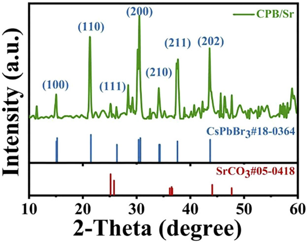 FIGURE 3