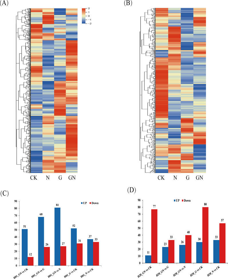 Figure 4