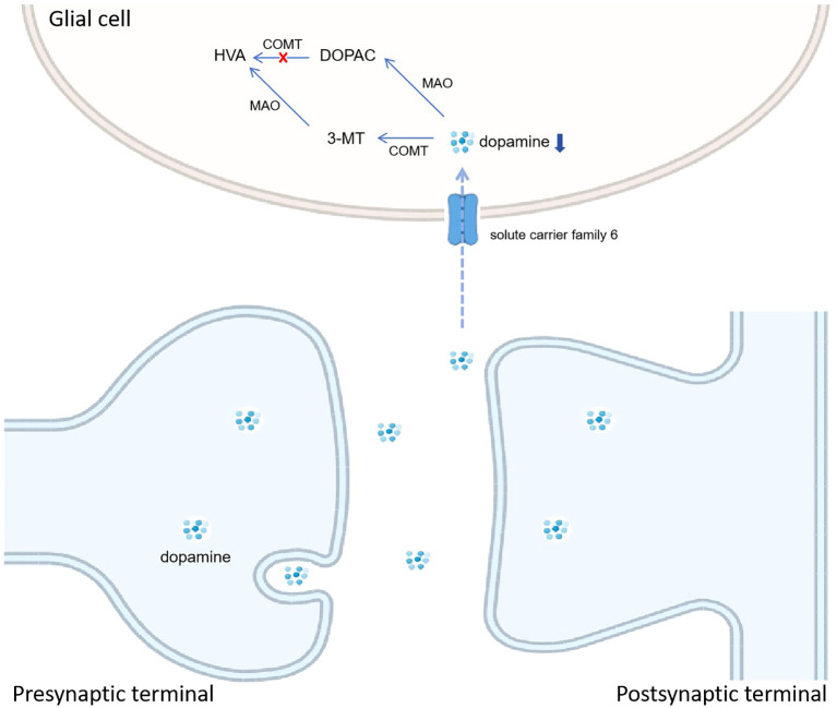 Figure 4