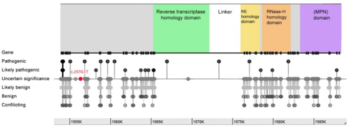 FIGURE 4