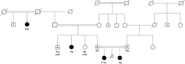 FIGURE 2