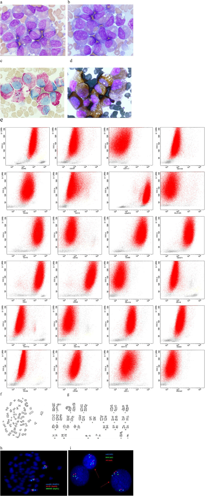 FIGURE 1