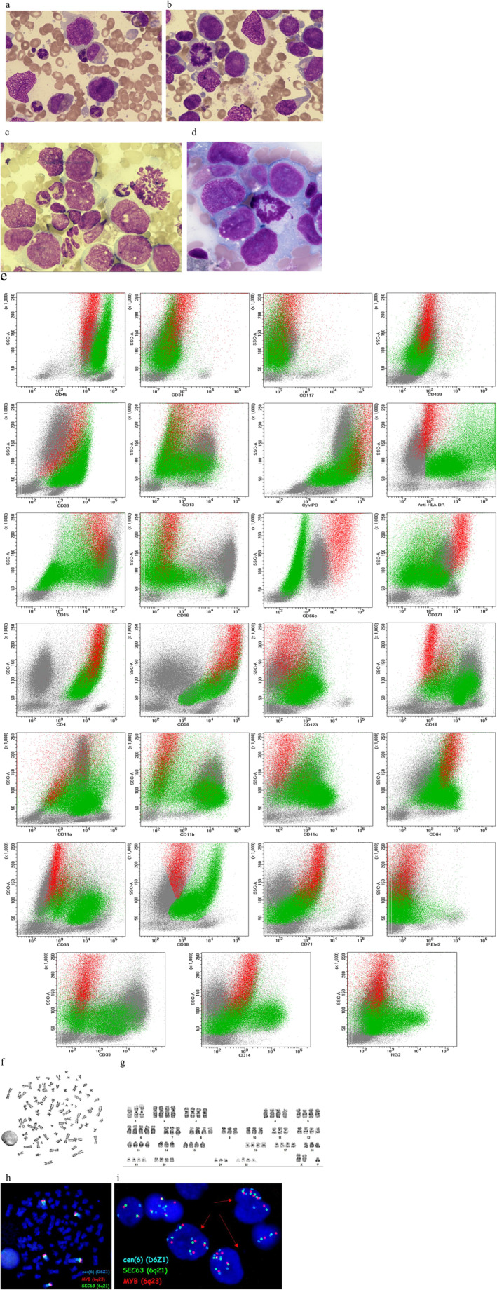 FIGURE 3
