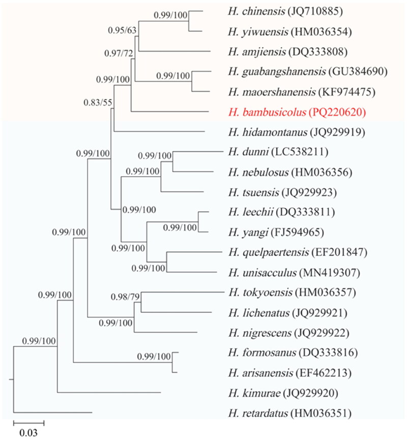 Figure 3