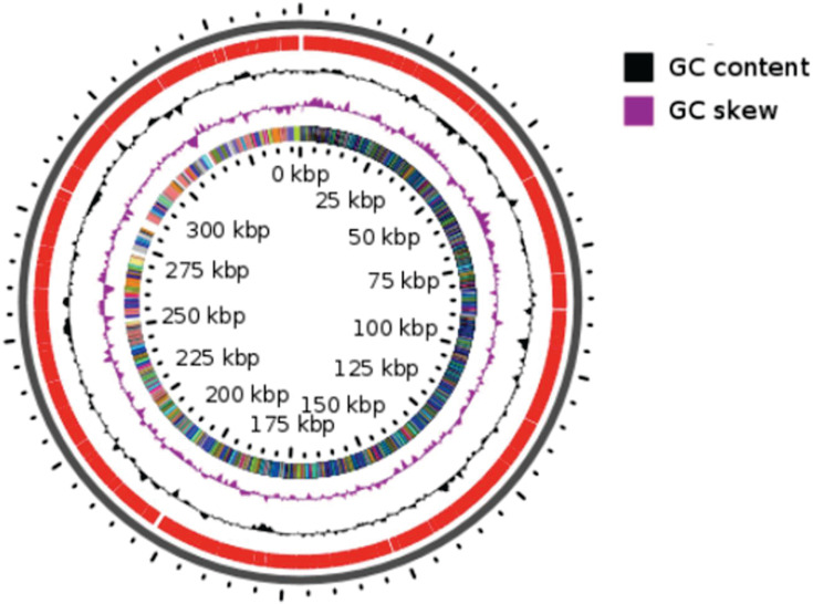 Fig 1