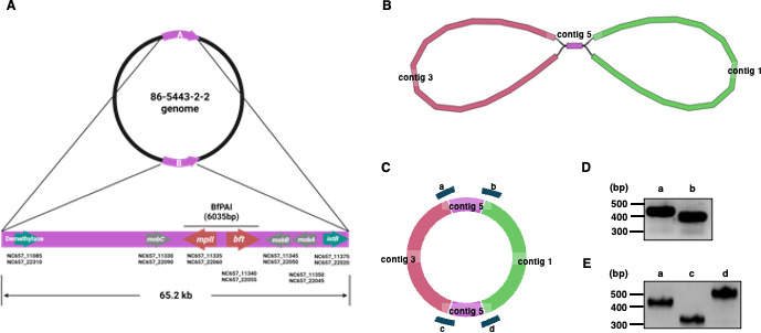 Fig 1