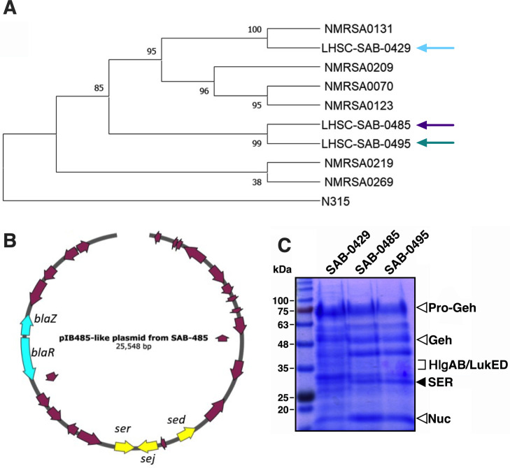Fig 1
