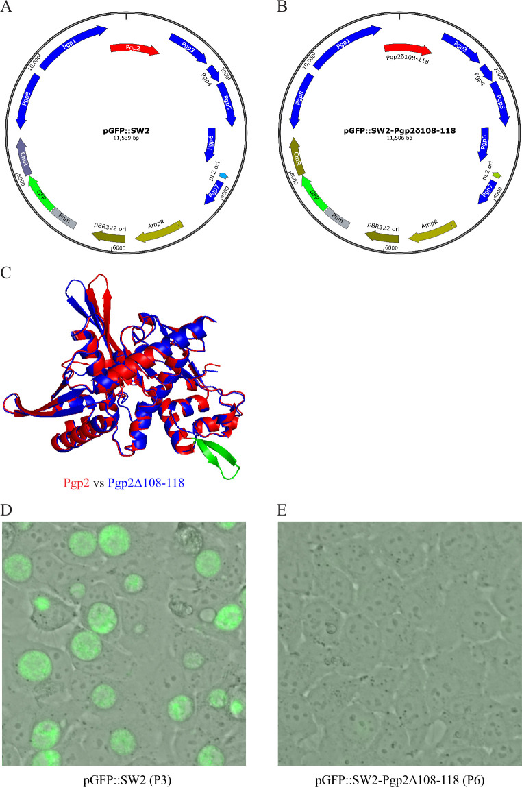 Fig 4