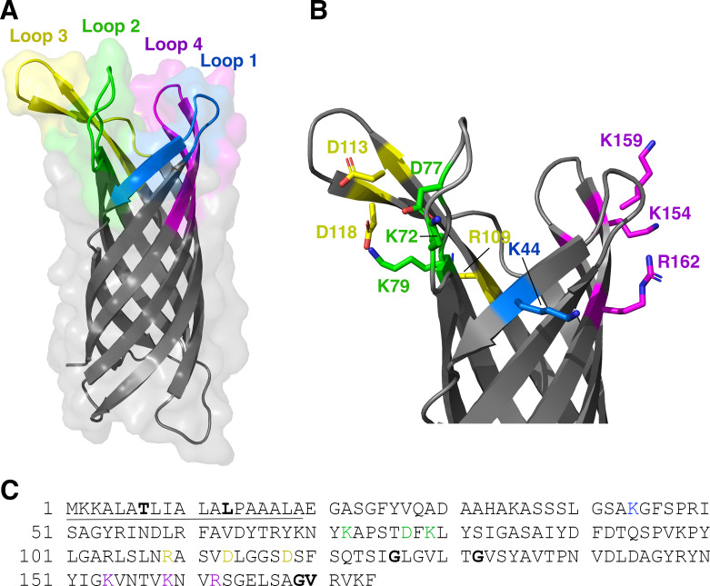 Fig 3