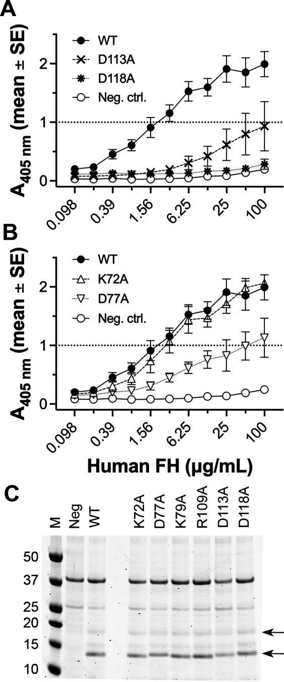 Fig 4