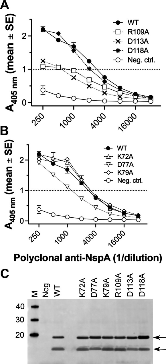 Fig 7