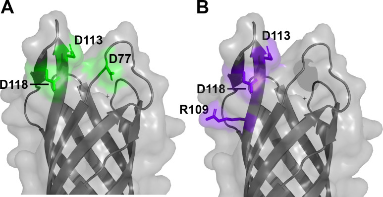 Fig 8