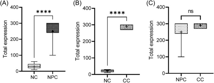 FIGURE 3