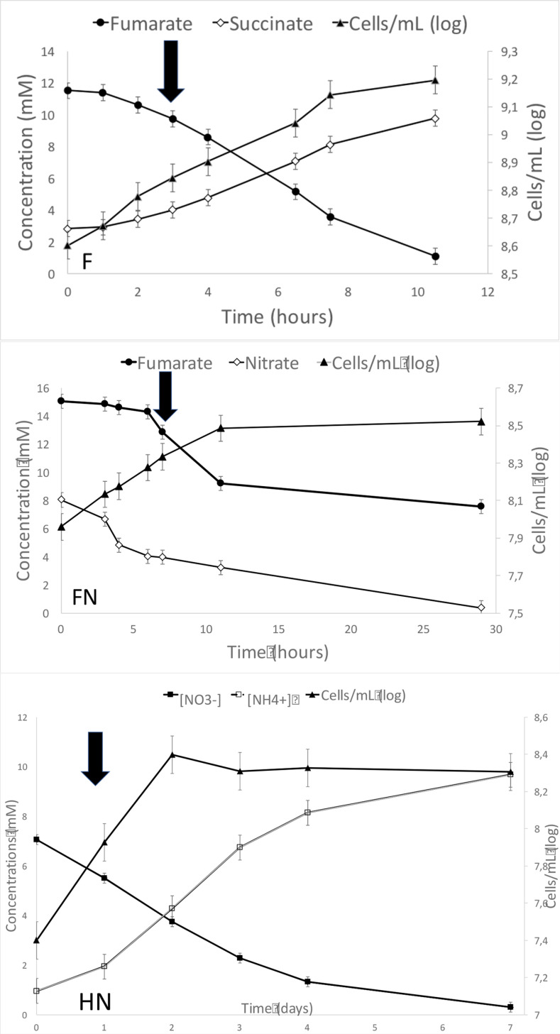 Fig 6