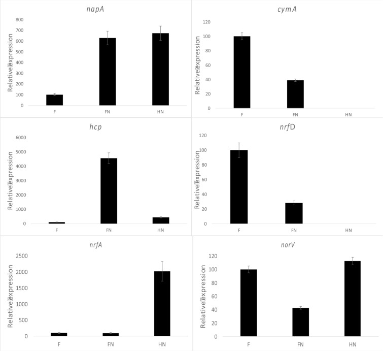 Fig 7