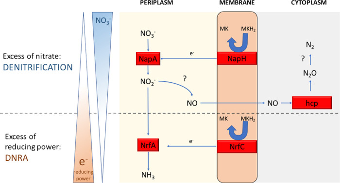 Fig 8
