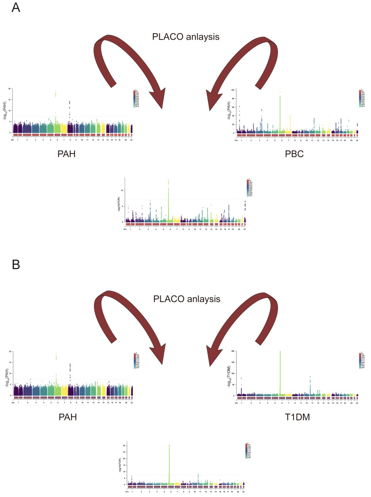Figure 13