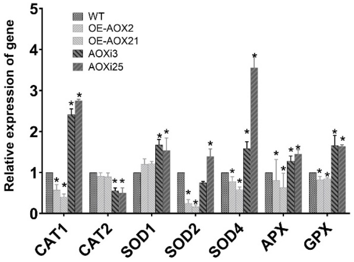 Figure 4