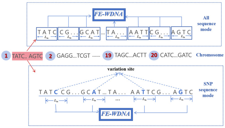 Figure 11