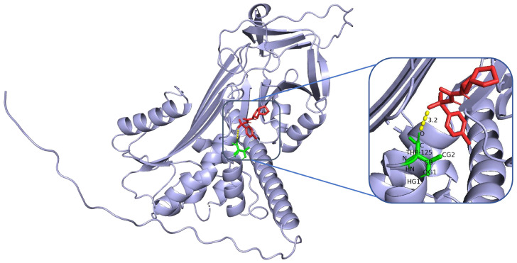 Figure 5