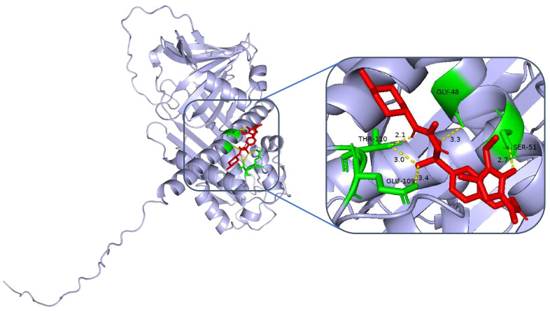 Figure 6