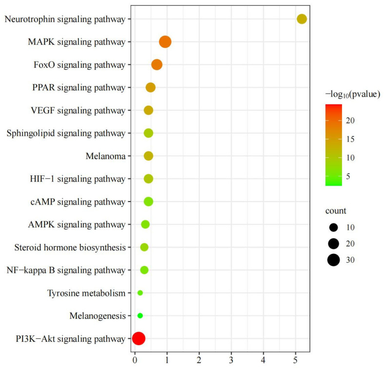 Figure 12