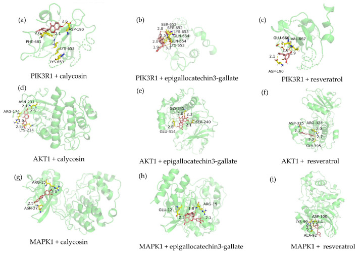 Figure 14
