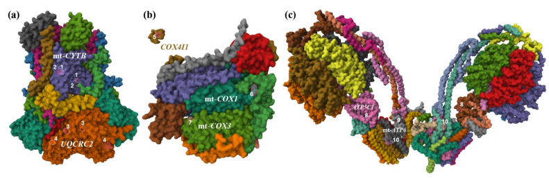 Figure 2