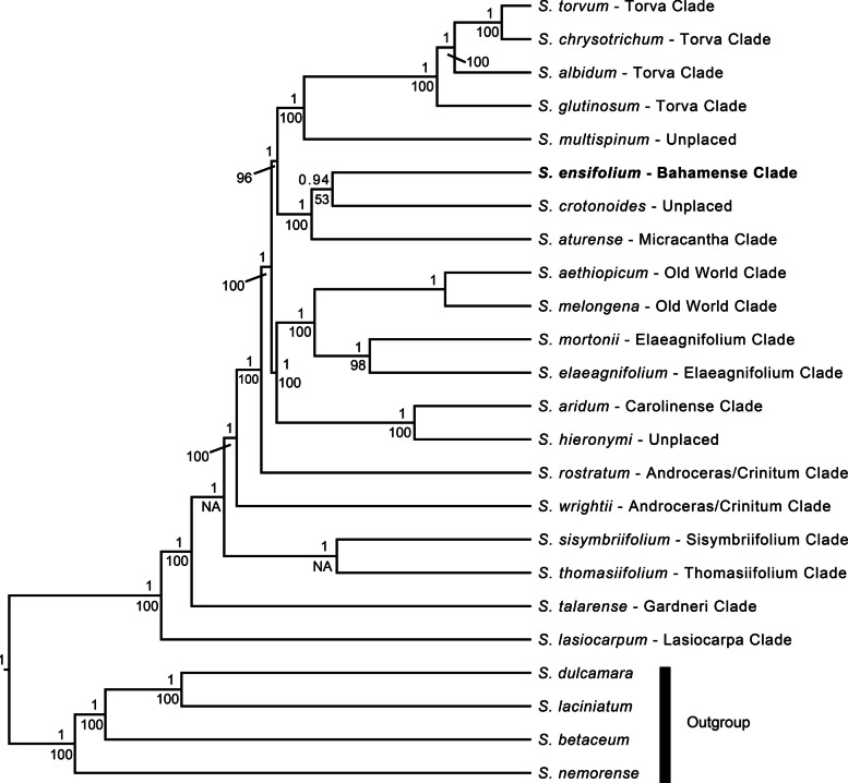 Figure 5