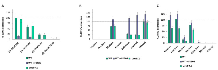 Figure 6