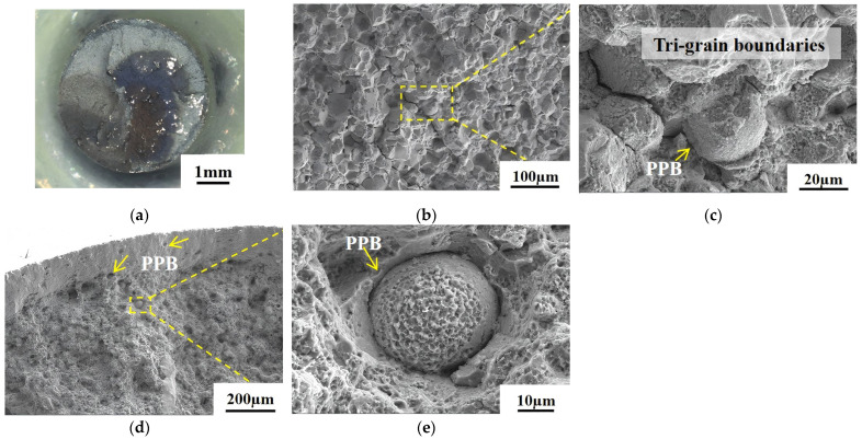 Figure 14