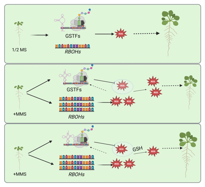 Figure 6