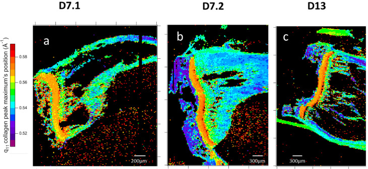Figure 11