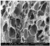 Figure 20