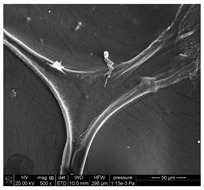 Figure 22