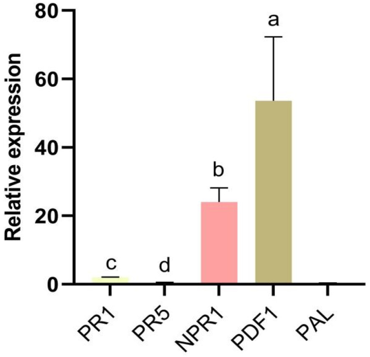 Figure 5