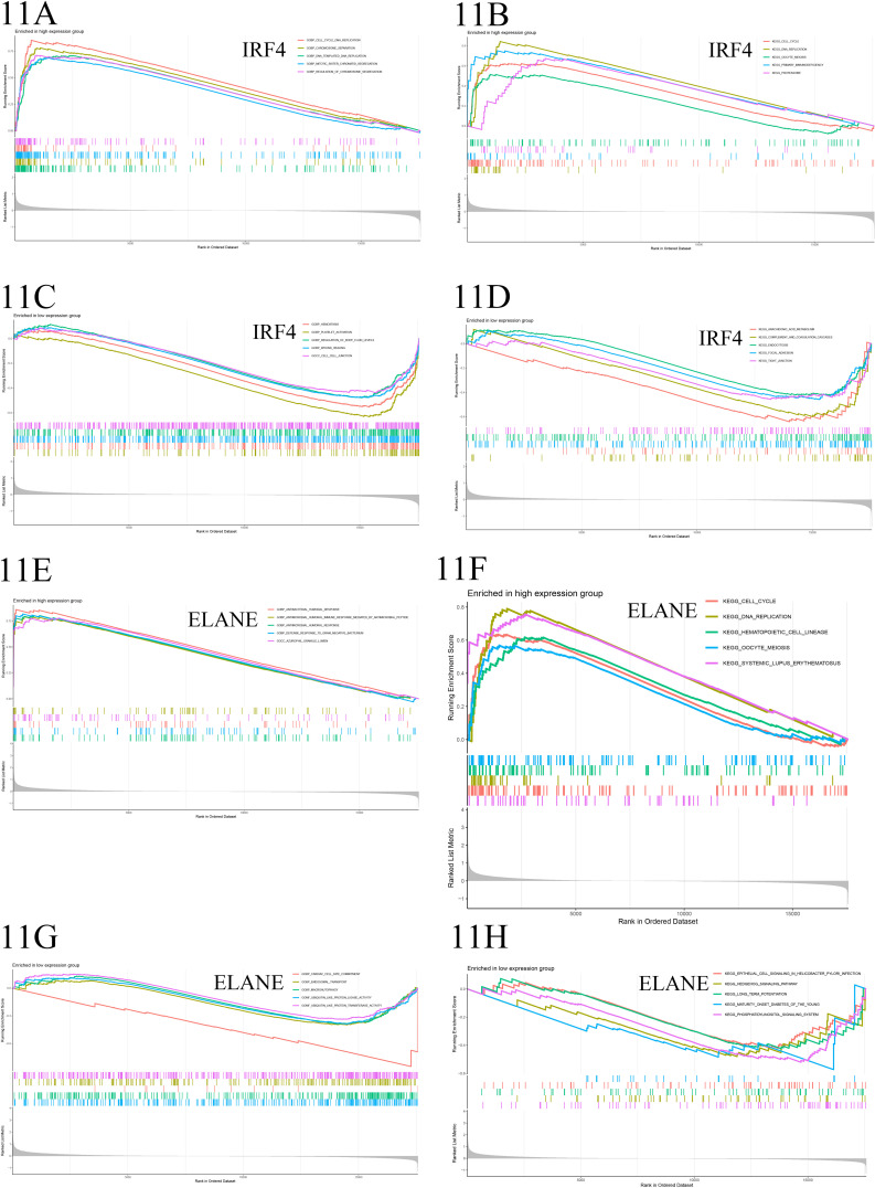 Figure 11