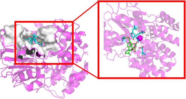 Figure 10