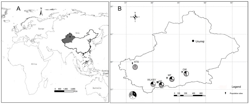 Figure 1