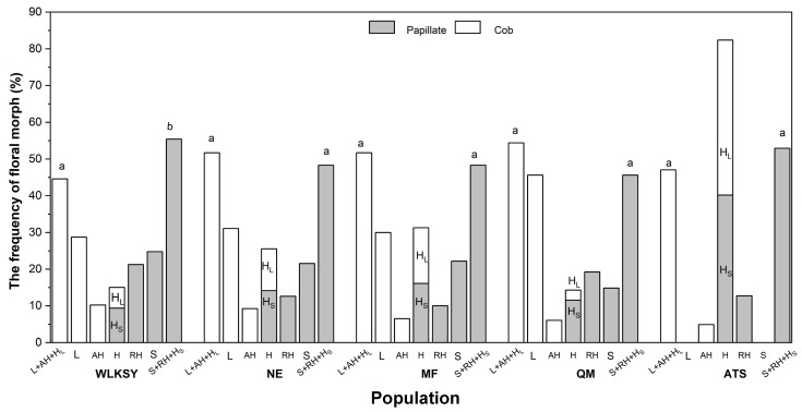Figure 4