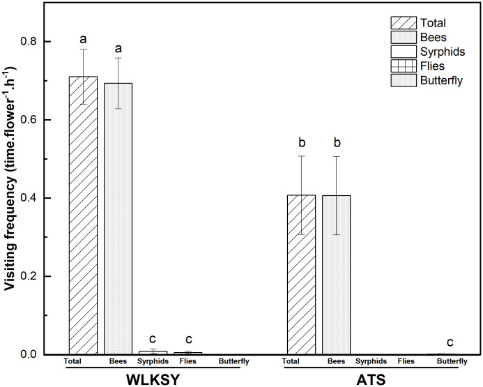 Figure 6