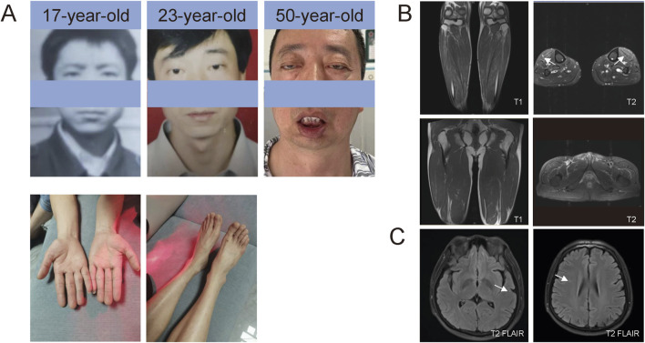 FIGURE 1