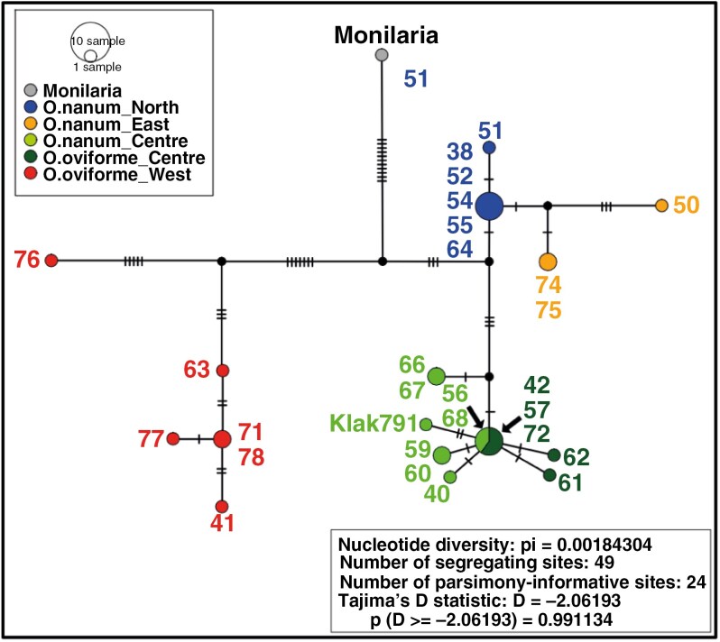 Fig. 4