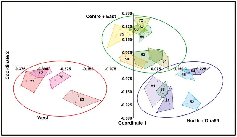 Fig. 6