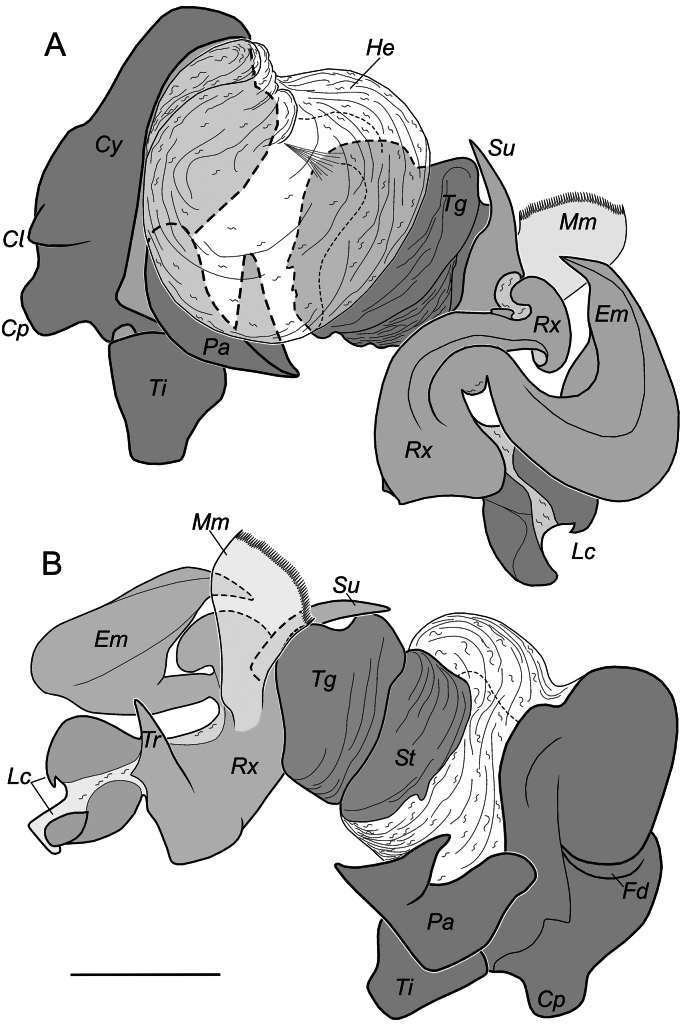 Figure 13