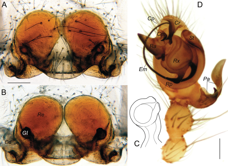 Figure 16