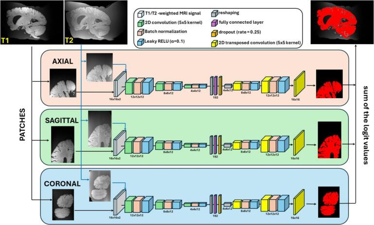 Figure 2