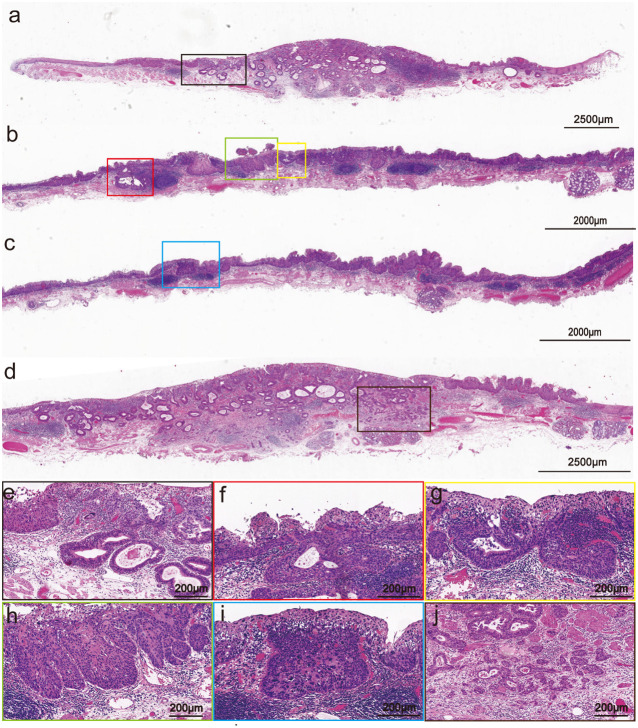 Figure 2